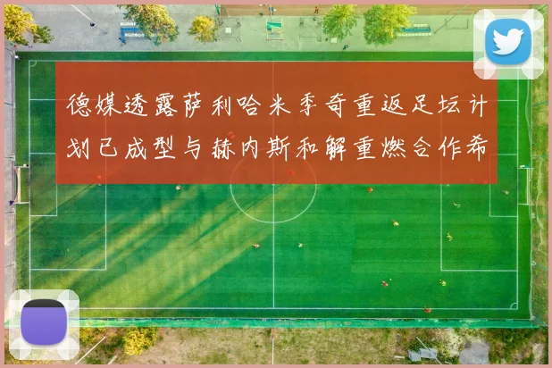 德媒透露萨利哈米季奇重返足坛计划已成型与赫内斯和解重燃合作希望