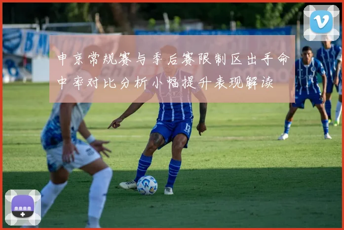 申京常规赛与季后赛限制区出手命中率对比分析小幅提升表现解读
