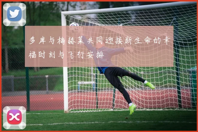 多库与梅赫莱共同迎接新生命的幸福时刻与飞行安排